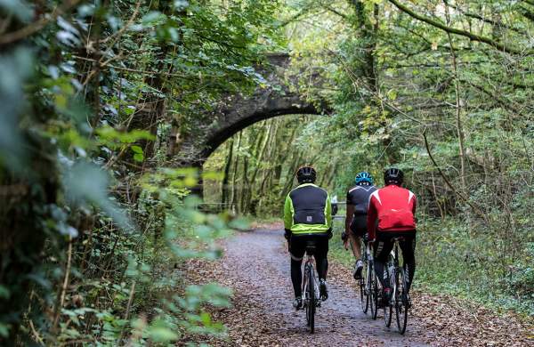 Three cyclists, cycling away from the camera, on a bike path surrounded by trees.