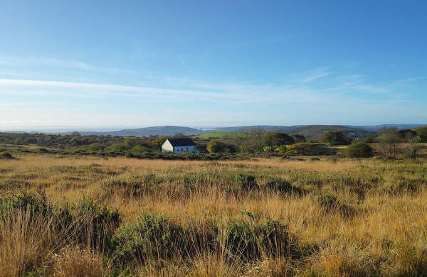 A white chapel in the middle of a gors landscape with Swansea Bay far in the distance.