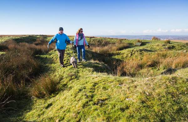 A man and woman walking a dog in the countryside.