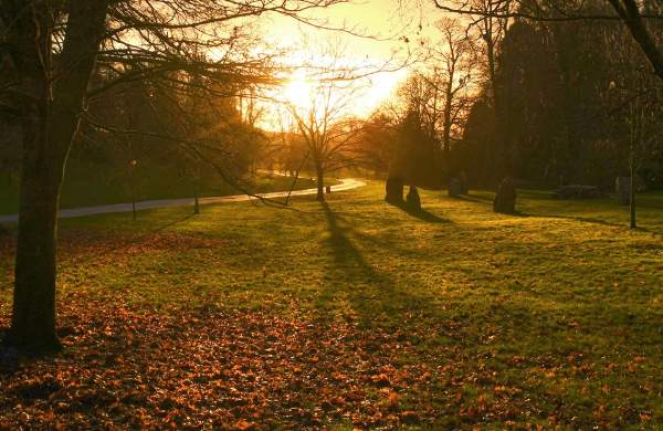 Singleton Park in the winter
