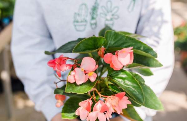 Get Your Hands Dirty This Spring