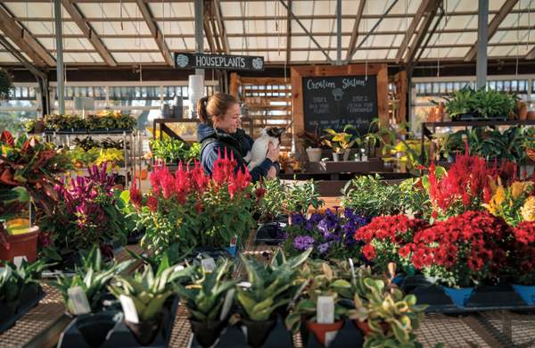 Hands-On Adventures & Hidden Gems in Union County, Ohio