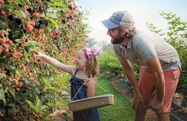 Berry Sweet Adventures in Union County