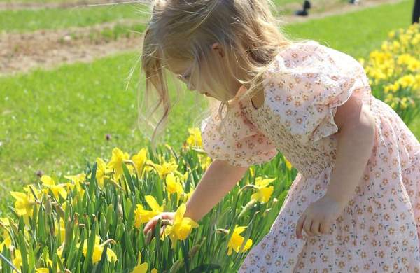 Explore Union County’s Rural Back Roads