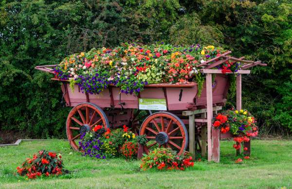 A red farmer cart filled with flowers surrounded by trees