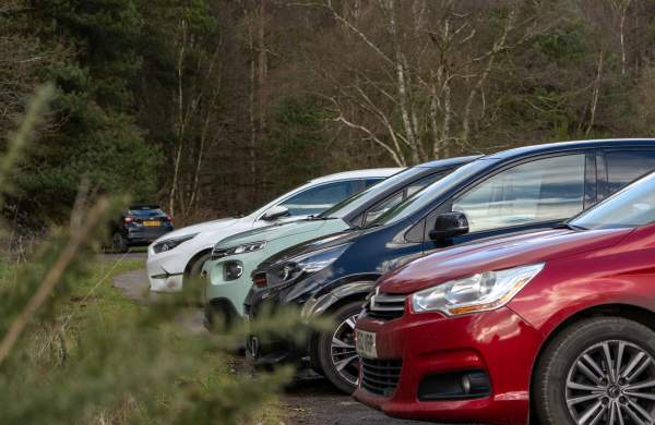 a line of cars in a car park at Willingham Woods