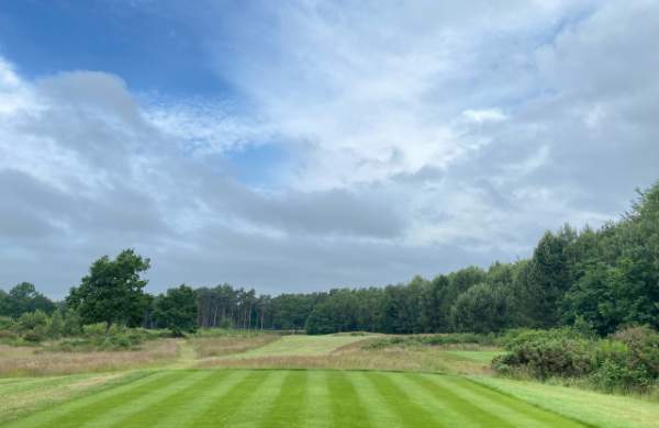 a golfing green with trees and blue skies