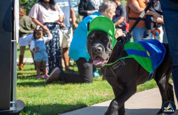 Aurora Pooch Parade