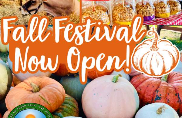 Fall Pumpkin Festival