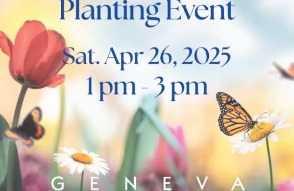 Native Garden Planting Event @ Geneva Commons