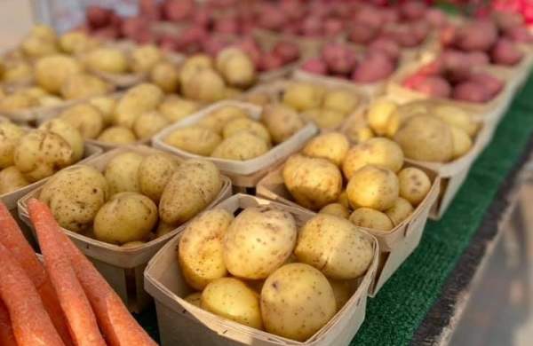 Holland Farmers Market