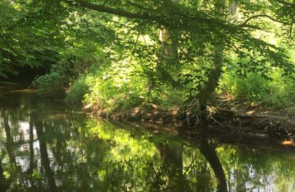 Pigeon Creek Park