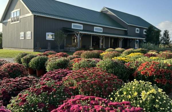 Quarry Hill Orchards Quarry Hill Orchards