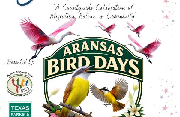 Aransas Bird Days of Spring 2026