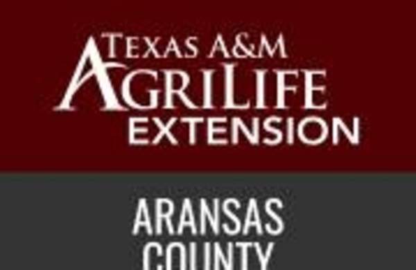 Texas A&M Agrilife Extension Service Brown Bag Lunch