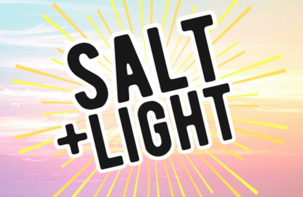 Painted Church Birdhouses