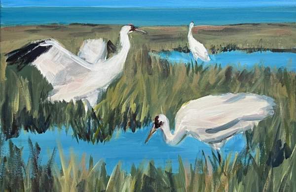 Let's Paint a Whooping Crane with Greta Watkins