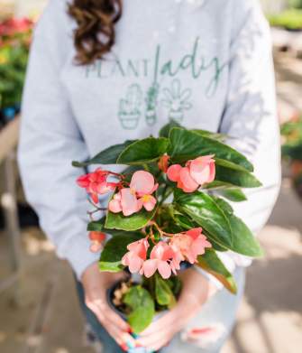 Get Your Hands Dirty This Spring
