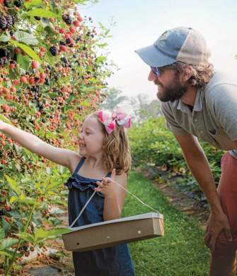 Berry Sweet Adventures in Union County