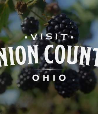 Dalton Union Winery & Brewery