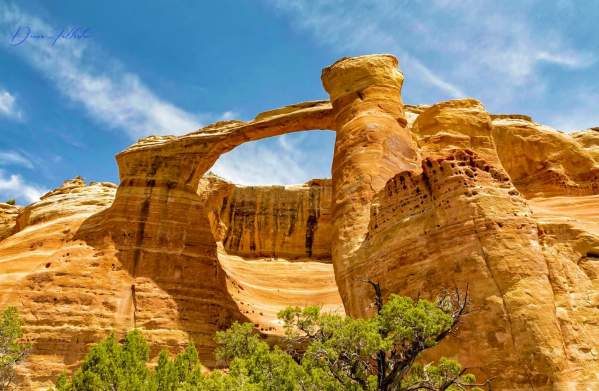 How to Find the Amazing Arches of Rattlesnake Canyon