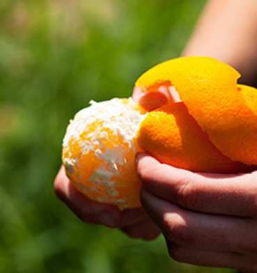 Clermont_Gove_2.jpg.640.680.imagerendition