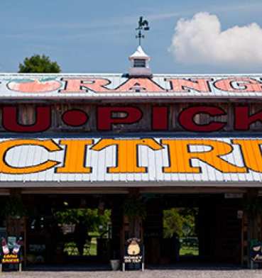 Clermont_Grove_3.jpg.640.680.imagerendition