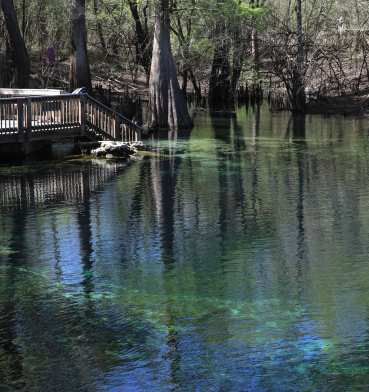 Lafayette County Florida: Where Opportunity Knocks