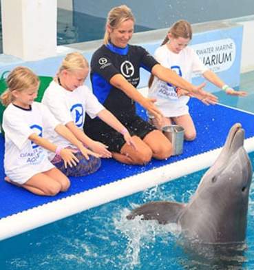 Animal-Care-Encounter