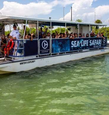 Sea-Life-Safari