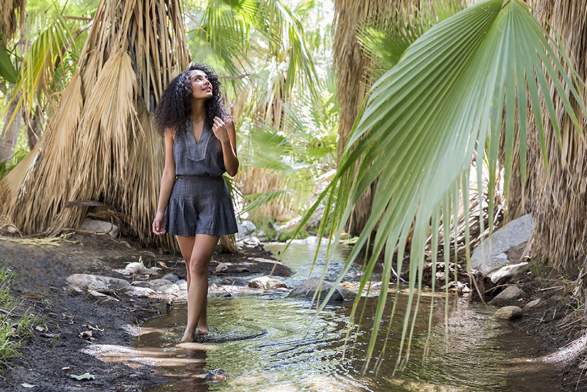 Discover A Cultural Oasis of Art, History and Outdoor Adventure in Palm Springs