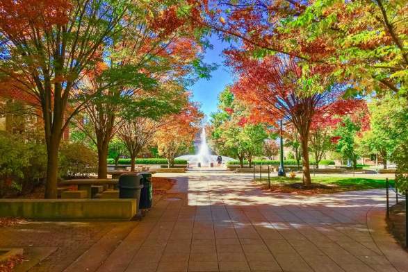 11 Vibrant Locations to View Fall Foliage in Greater Lafayette