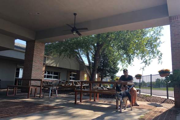 Dog-Friendly Restaurants to Bring Your Pup