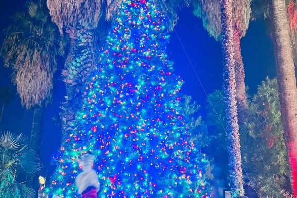 City of Palm Springs Holiday Tree Lighting