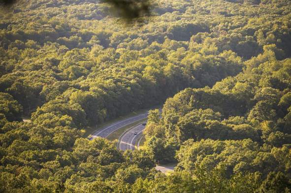 bluemont