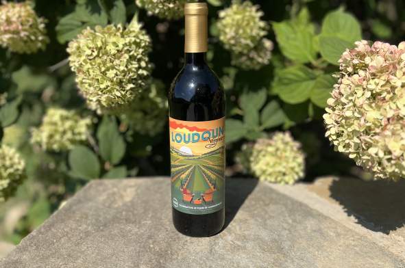 40th wine collab