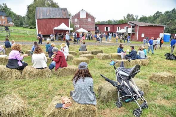 People enjoying an outdoor community event with live music and activities in Loudoun County