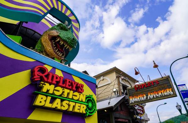 Regular member application chamber