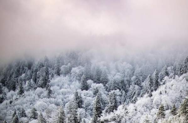 January featured photo
