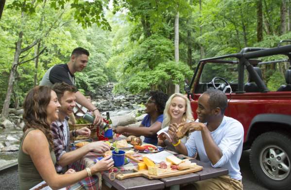 Picnic with friends Chimneys