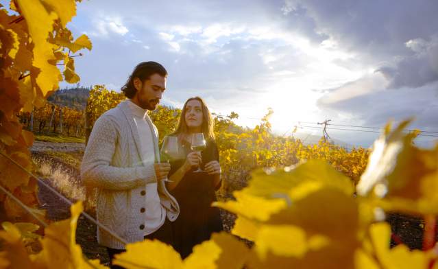 Couple_in_Vineyard_during_Fall_at_CedarCreek_Estate_Winery_3_