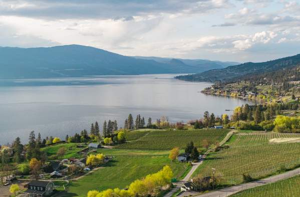 Turn Your Kelowna Business Trip into a Wine Country Escape