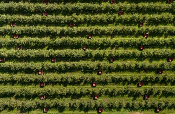 In Season: Four Okanagan Farm Markets to Visit Right Now