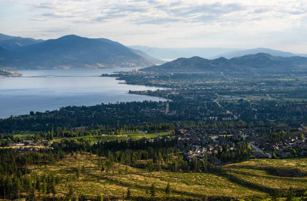 See More, Stress Less: Book A Spot-to-Spot Guided Tour