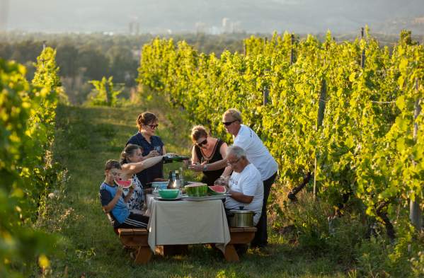 Family-Friendly Wineries in Kelowna and Beyond
