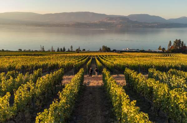 Fall Tasting Guide: Must-Visit Wine Spots in Kelowna & Surrounding Areas