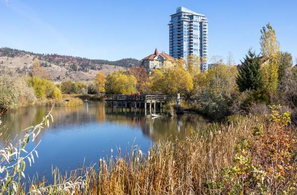 Where to Go Wildlife Watching in Kelowna: Top Nature Spots & Tips