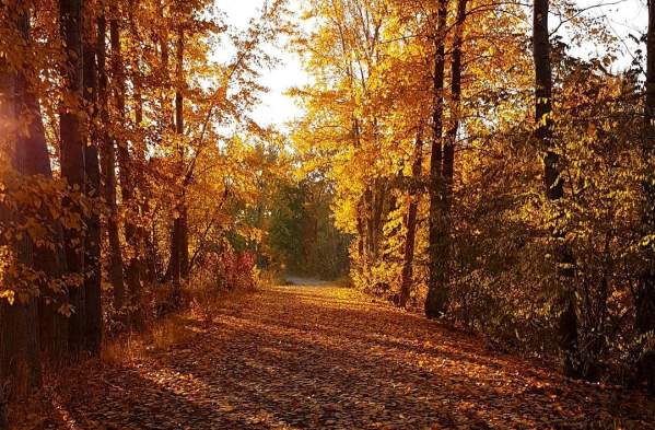 Fall Hiking in Kelowna: Trails to Explore This Season