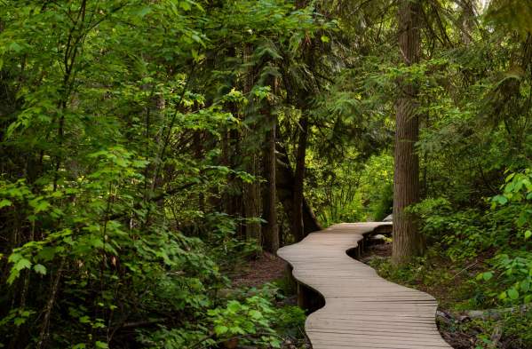 Underappreciated Hiking Trails in Kelowna and the Okanagan Valley