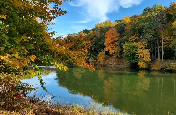 Morgan County Spots for Fall Color